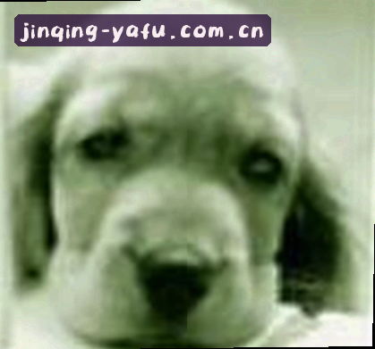 吴芳