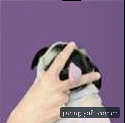 周磊